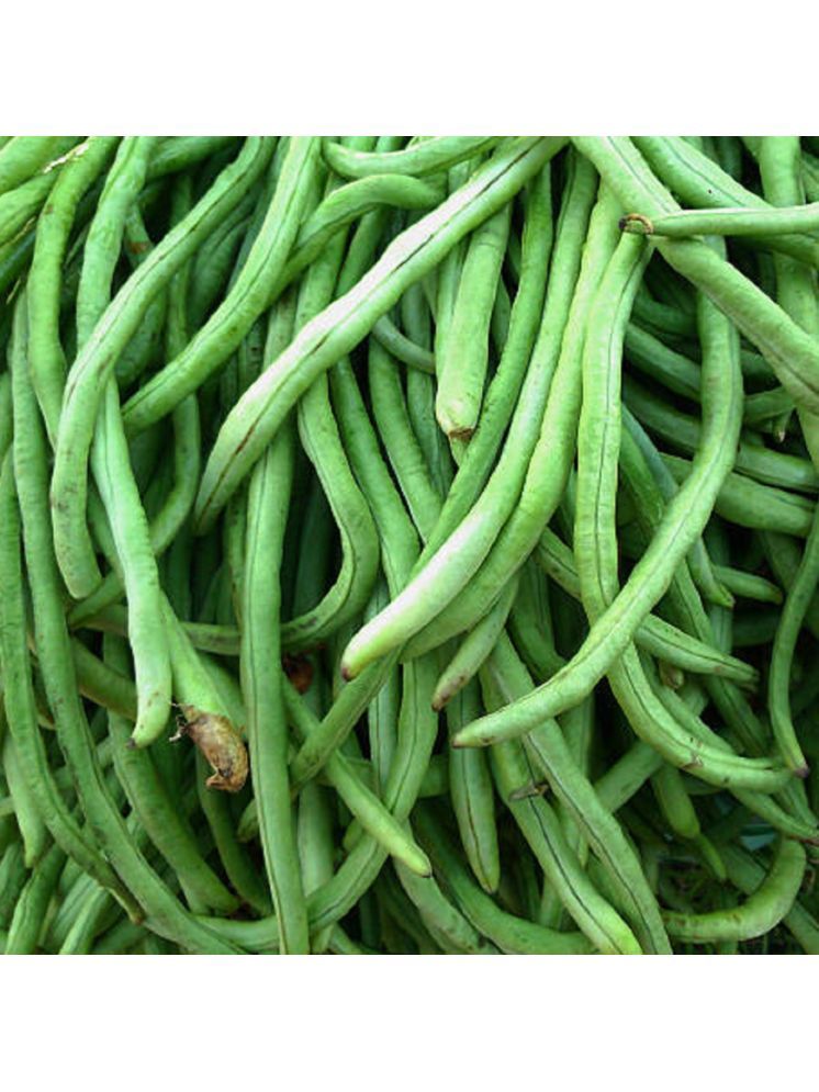     			Jignisha Seeds Hybrid Black Eyed Pea Vegetable ( 50 Seeds )