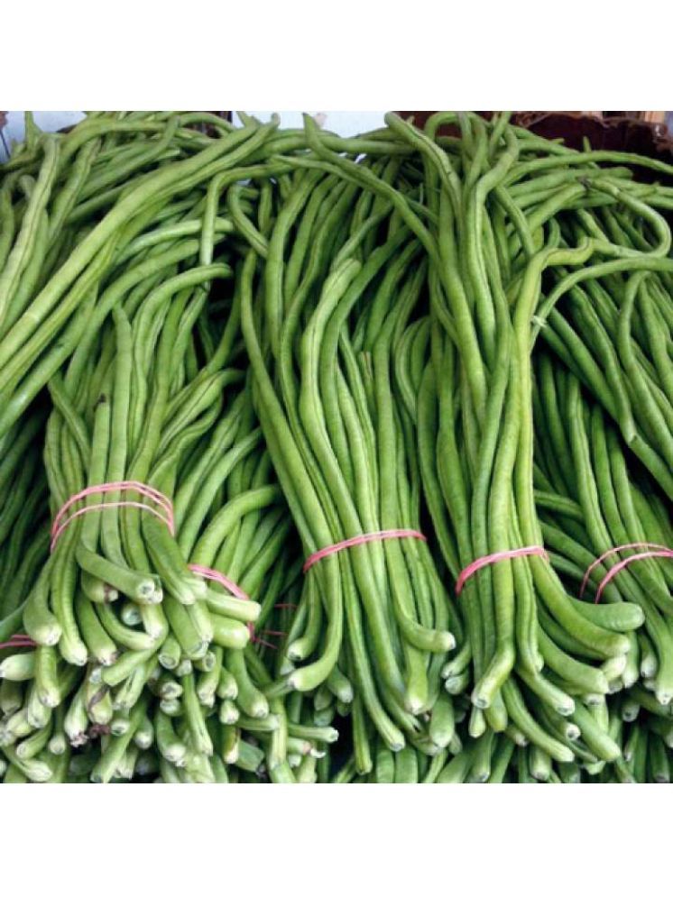     			Jignisha Seeds Lobia Beans Vegetable ( 50 Seeds )