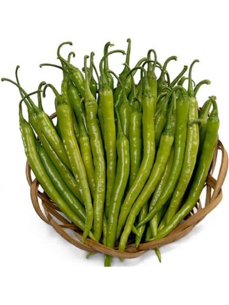     			Jignisha Seeds Organic Green Chilli Vegetable ( 50 Seeds )